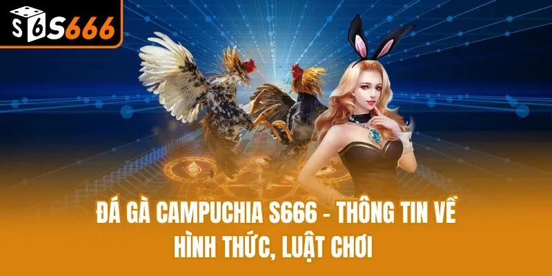 Đá Gà Campuchia S666 - Thông Tin Về Hình Thức, Luật Chơi 