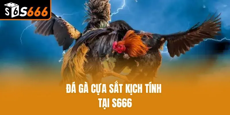 Đá gà online cựa sắt kịch tính tại S666