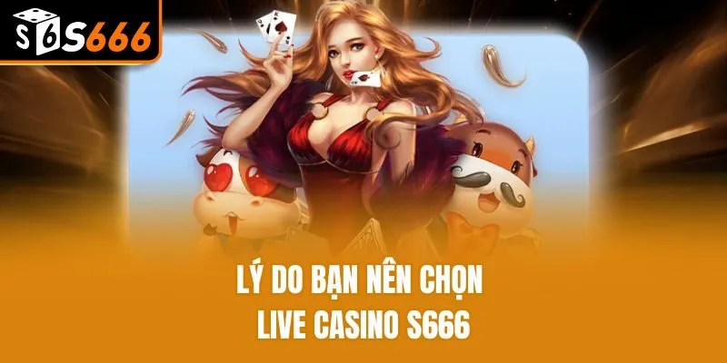 Lý do bạn nên chọn Live Casino S666
