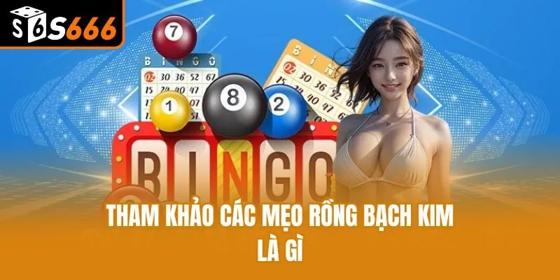 Tham khảo các mẹo rồng bạch kim là gì